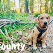 Ingo mit Bounty